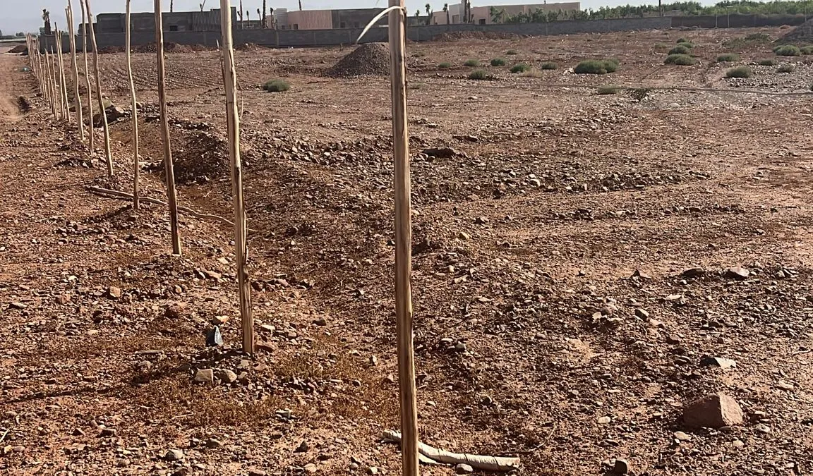 Permis de construire à Marrakech : démarches, délais et coûts 2026