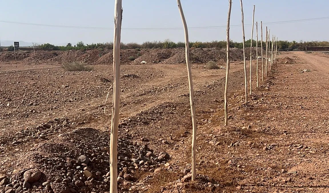 Construire une piscine à Marrakech : normes et sécurité